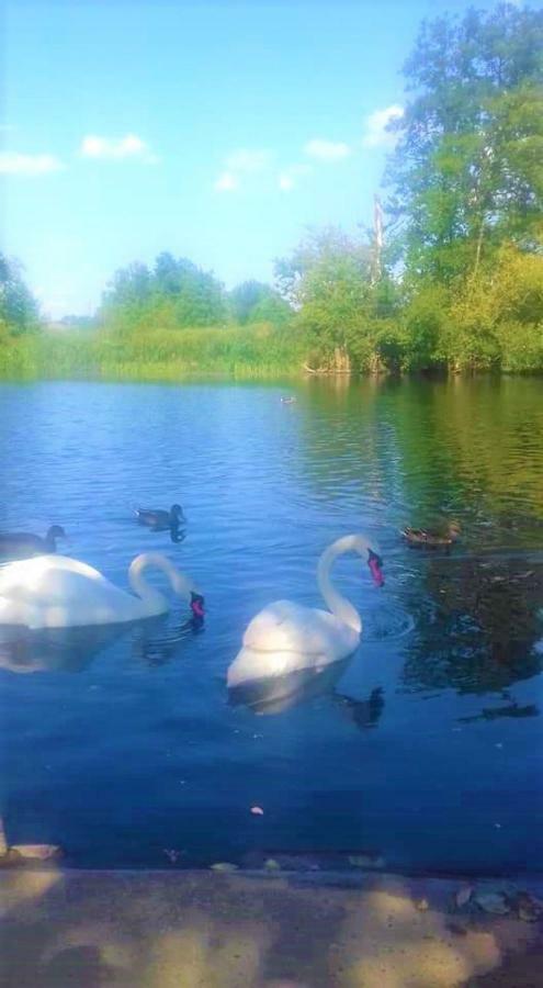 Apartments Korana, Belajskepoljice Duga Resa Zewnętrze zdjęcie